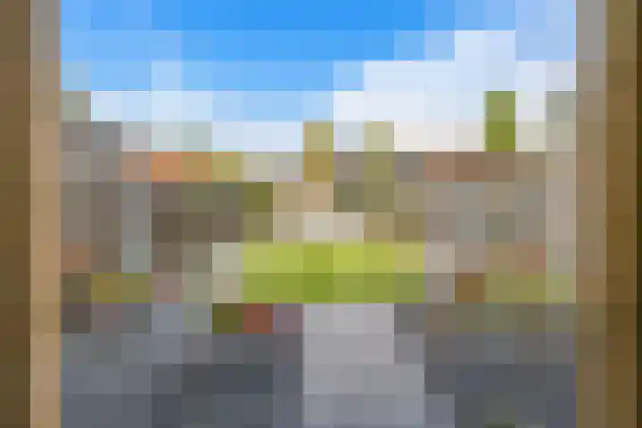 Korenveld 45 Beneden-Leeuwen thumbnail 32