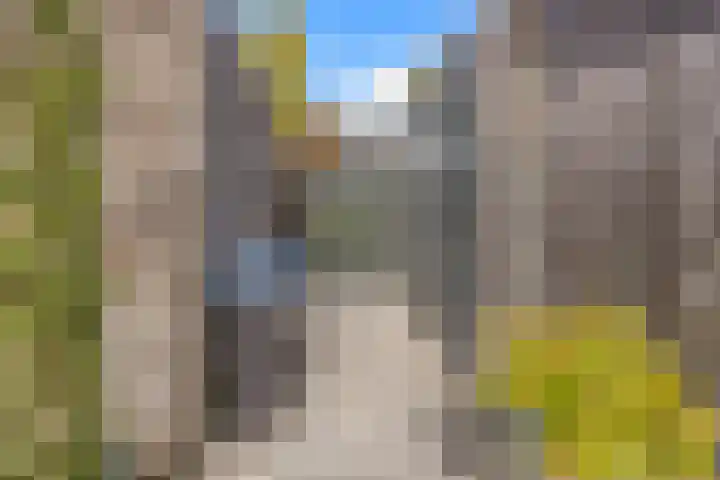 Korenveld 45 Beneden-Leeuwen thumbnail 34
