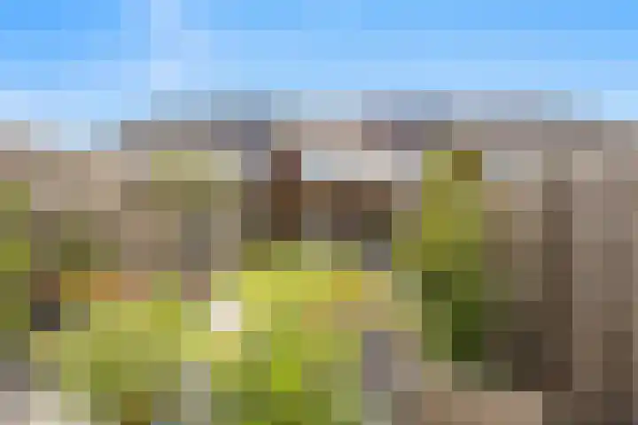 Korenveld 45 Beneden-Leeuwen thumbnail 35