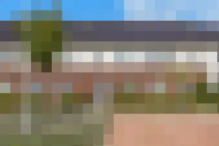 Korenveld 45 Beneden-Leeuwen thumbnail 37