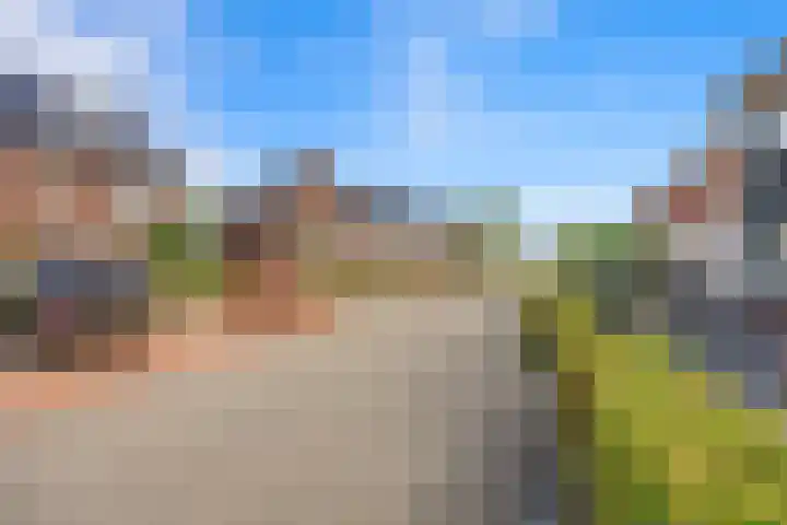 Korenveld 45 Beneden-Leeuwen thumbnail 39