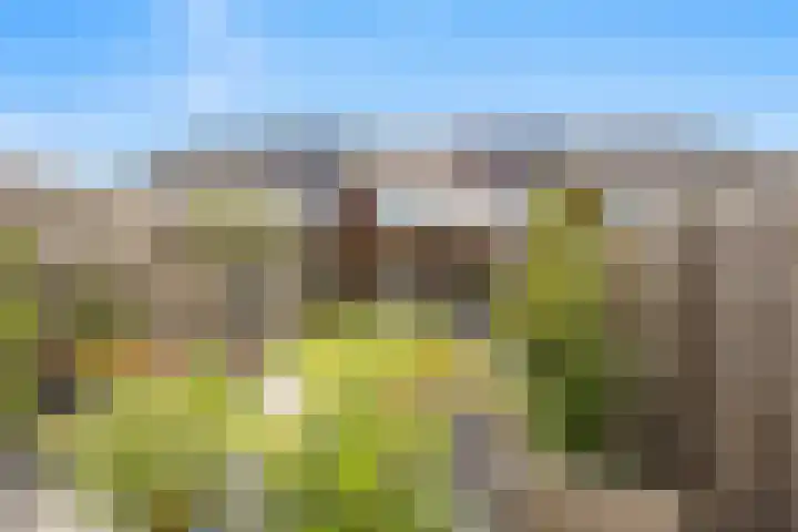 Korenveld 45 Beneden-Leeuwen thumbnail 4