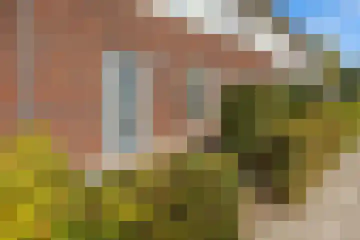 Korenveld 45 Beneden-Leeuwen thumbnail 5