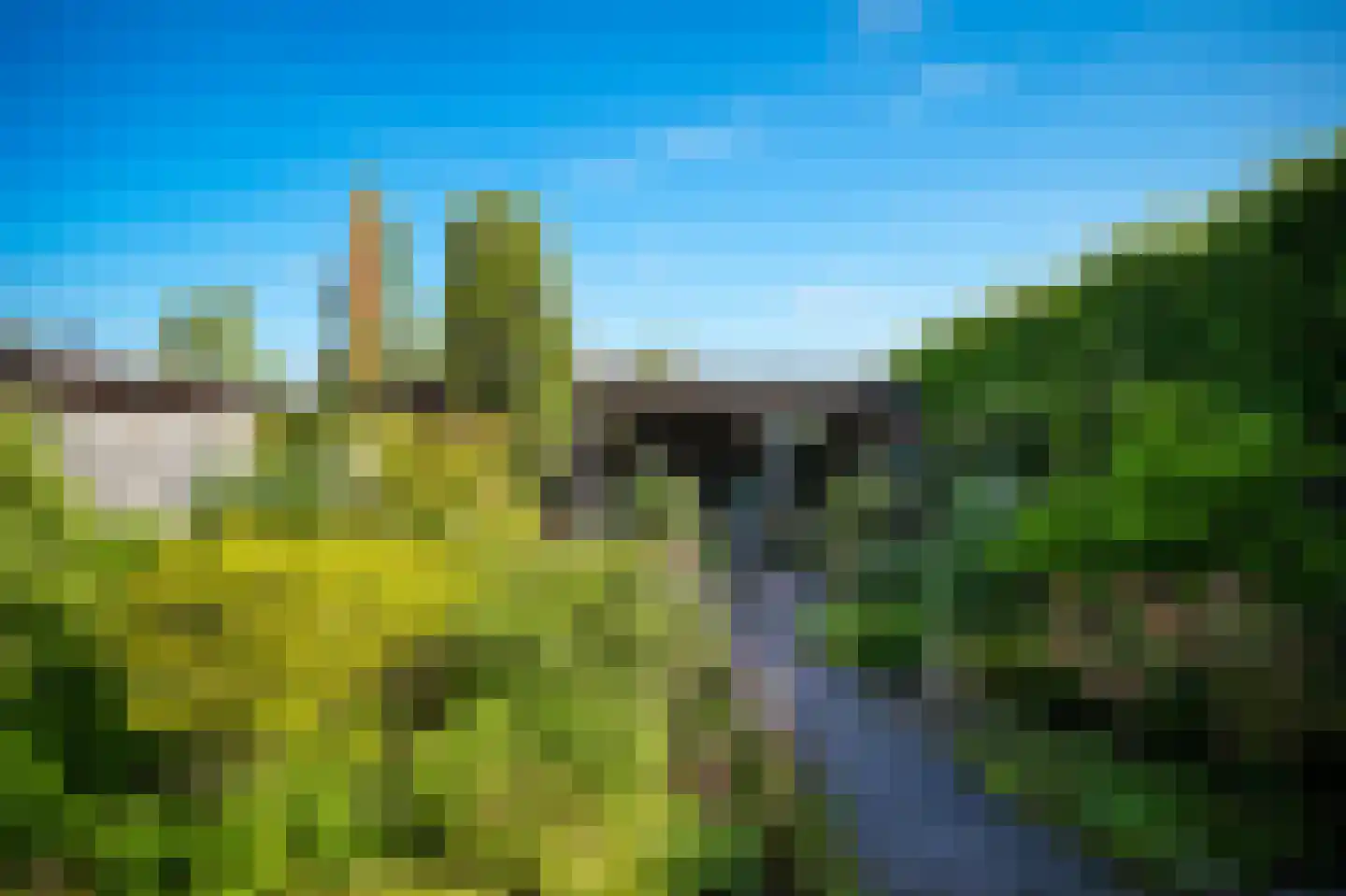 Korenveld 49 Beneden-Leeuwen thumbnail 28