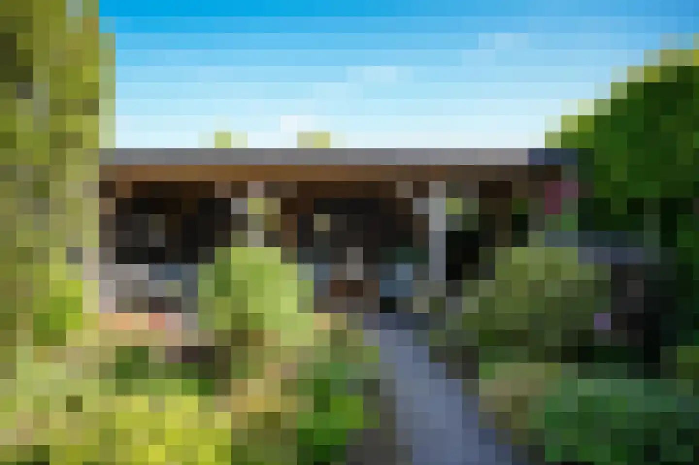 Korenveld 49 Beneden-Leeuwen thumbnail 31