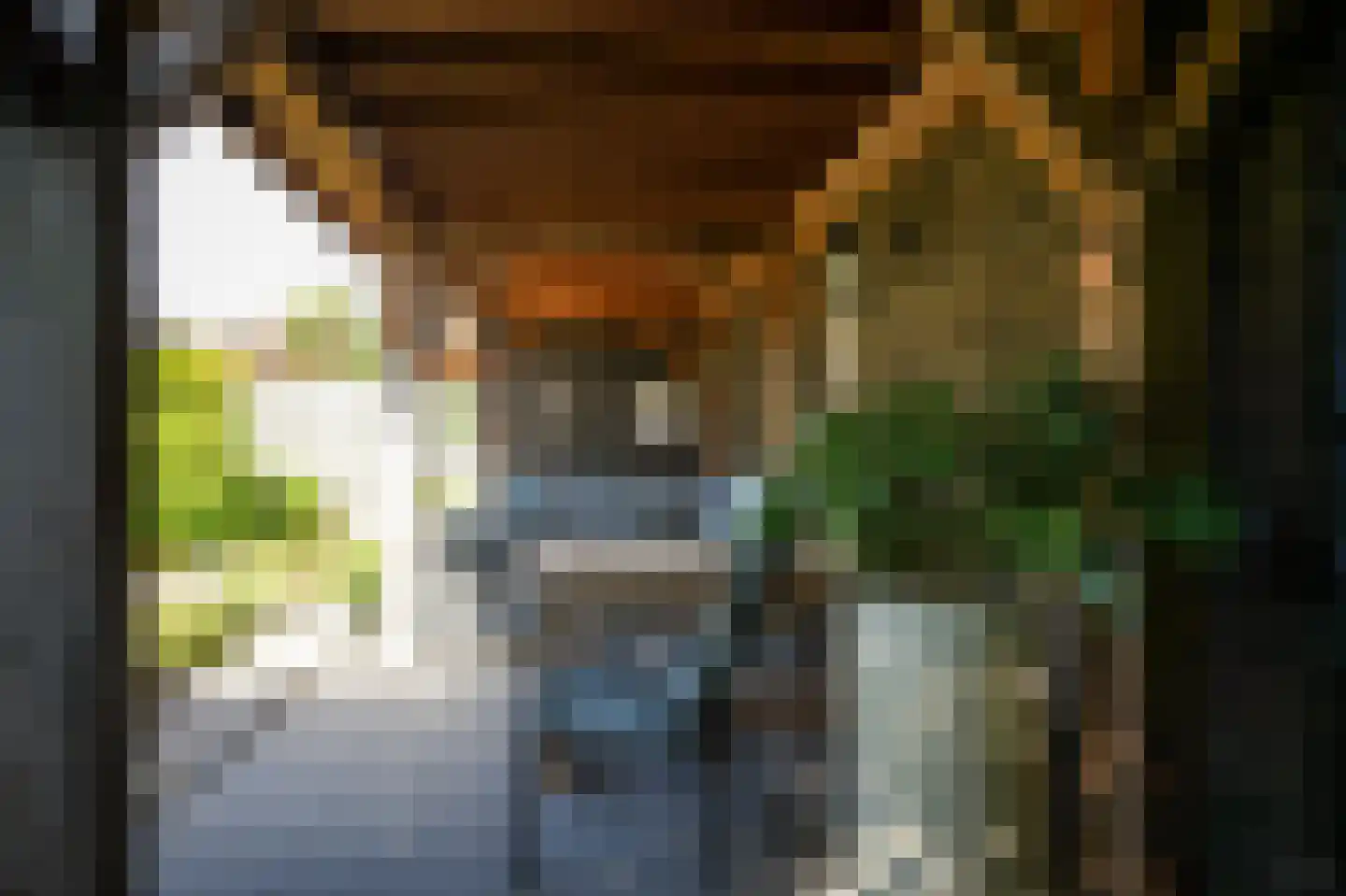 Korenveld 49 Beneden-Leeuwen thumbnail 33