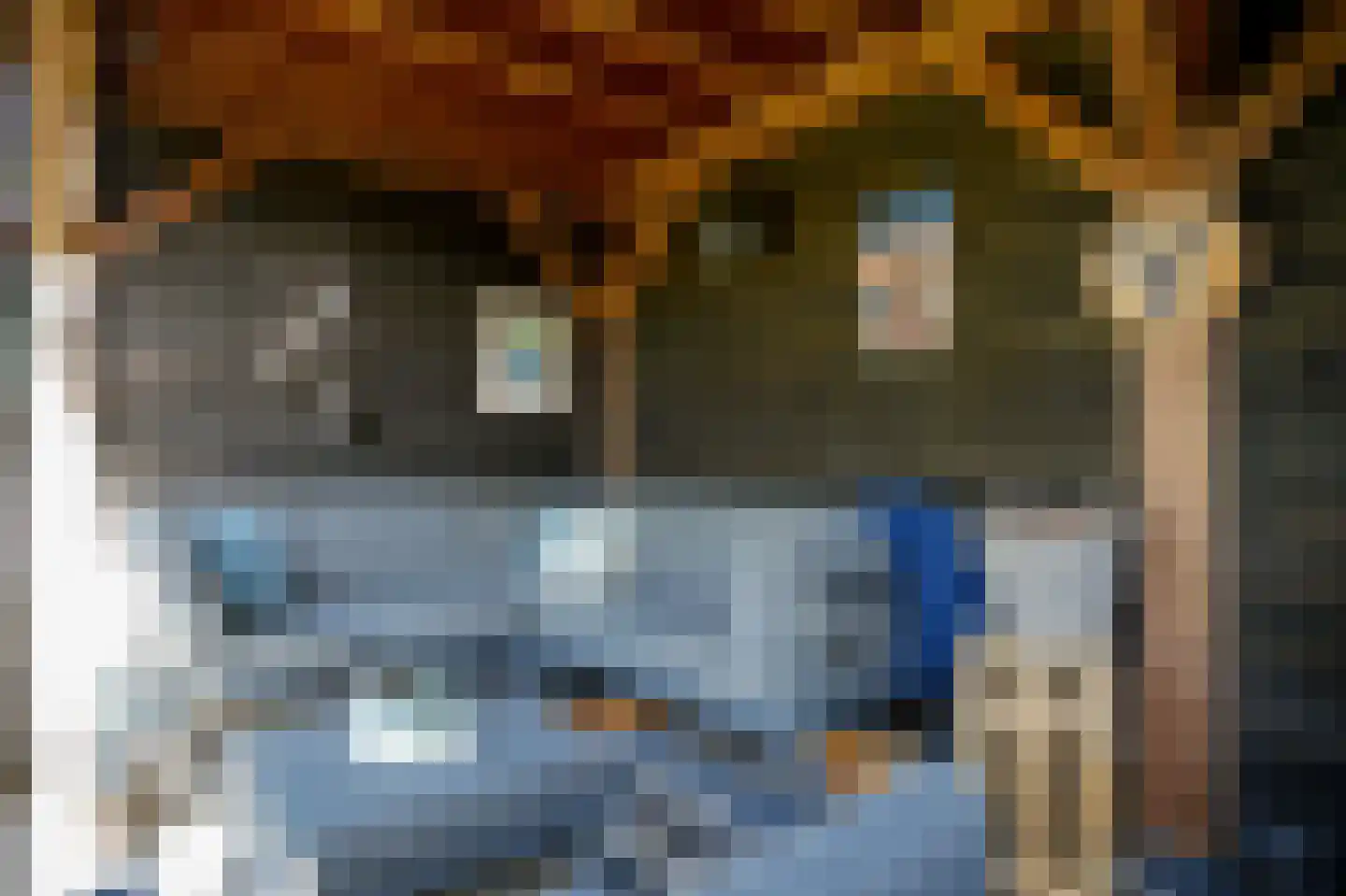Korenveld 49 Beneden-Leeuwen thumbnail 34