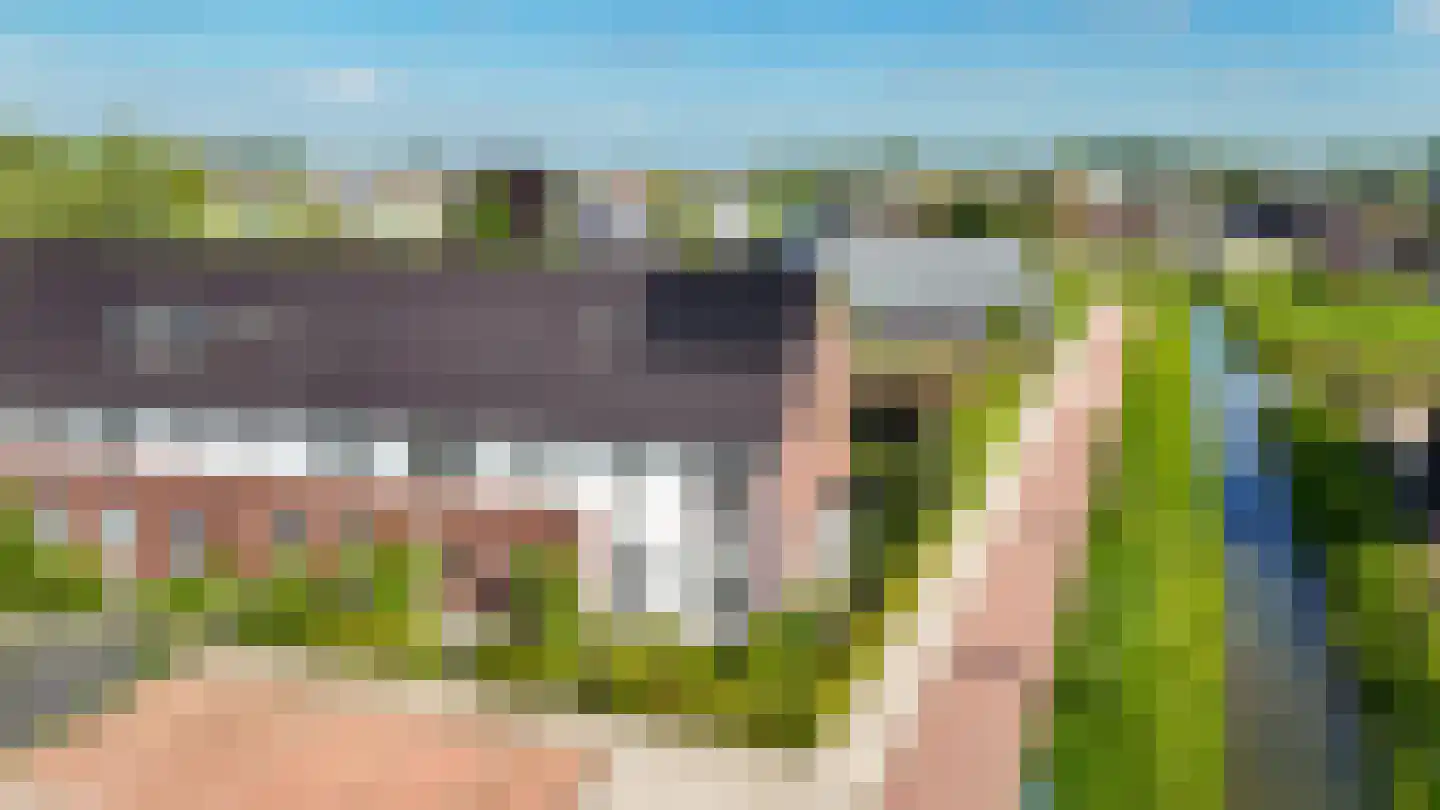 Korenveld 49 Beneden-Leeuwen thumbnail 42