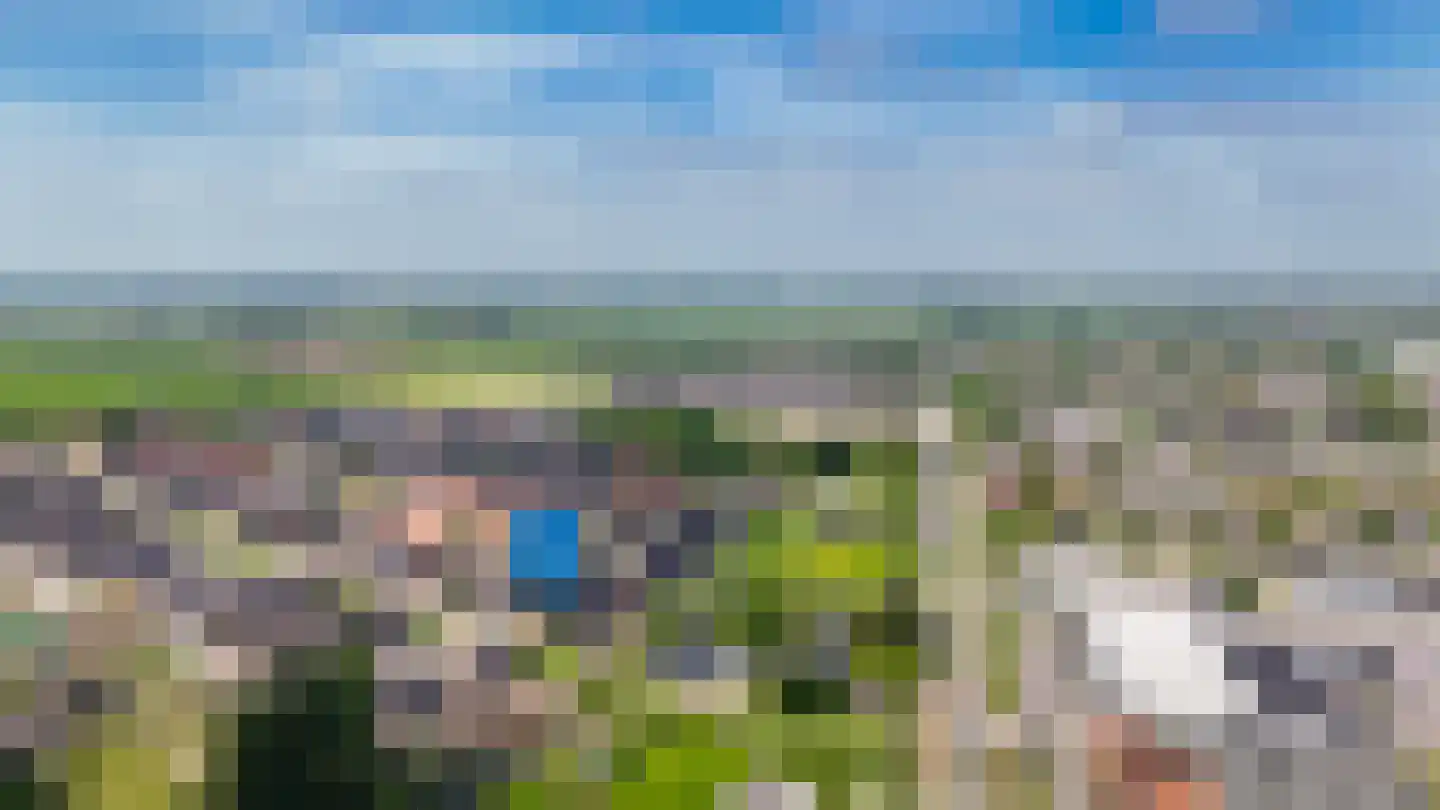 Korenveld 49 Beneden-Leeuwen thumbnail 45