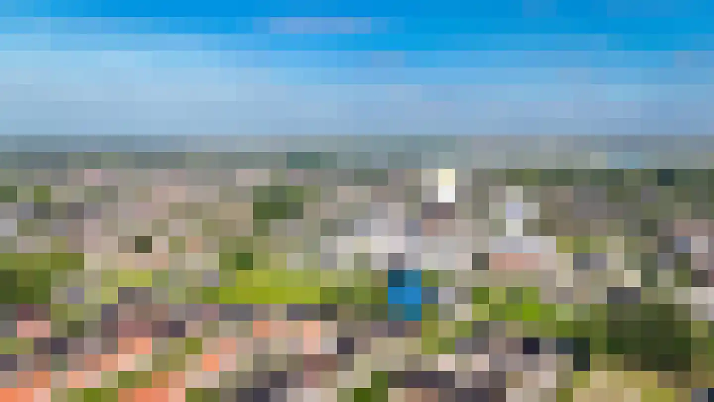 Korenveld 49 Beneden-Leeuwen thumbnail 46