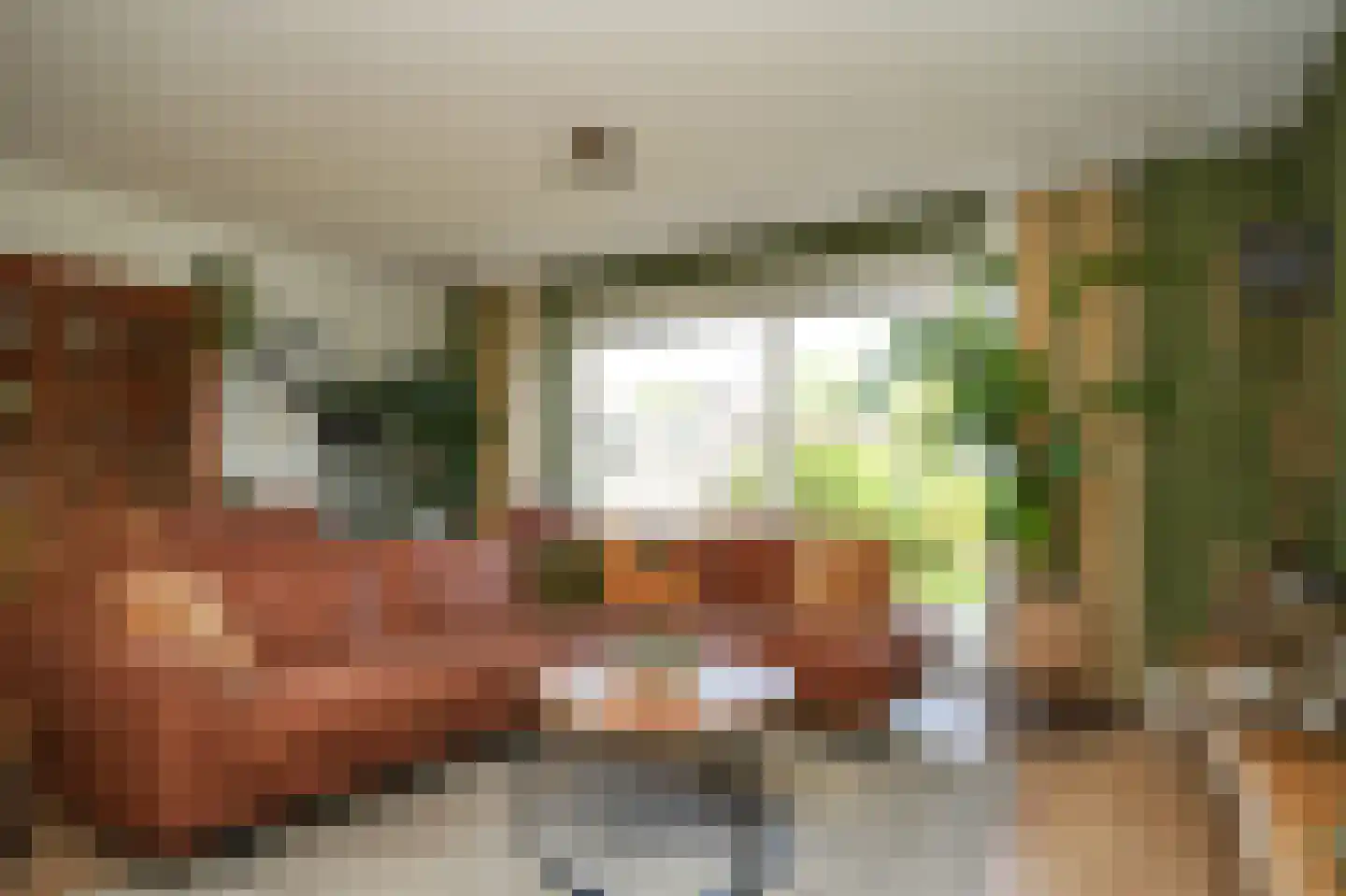 Korenveld 49 Beneden-Leeuwen thumbnail 8