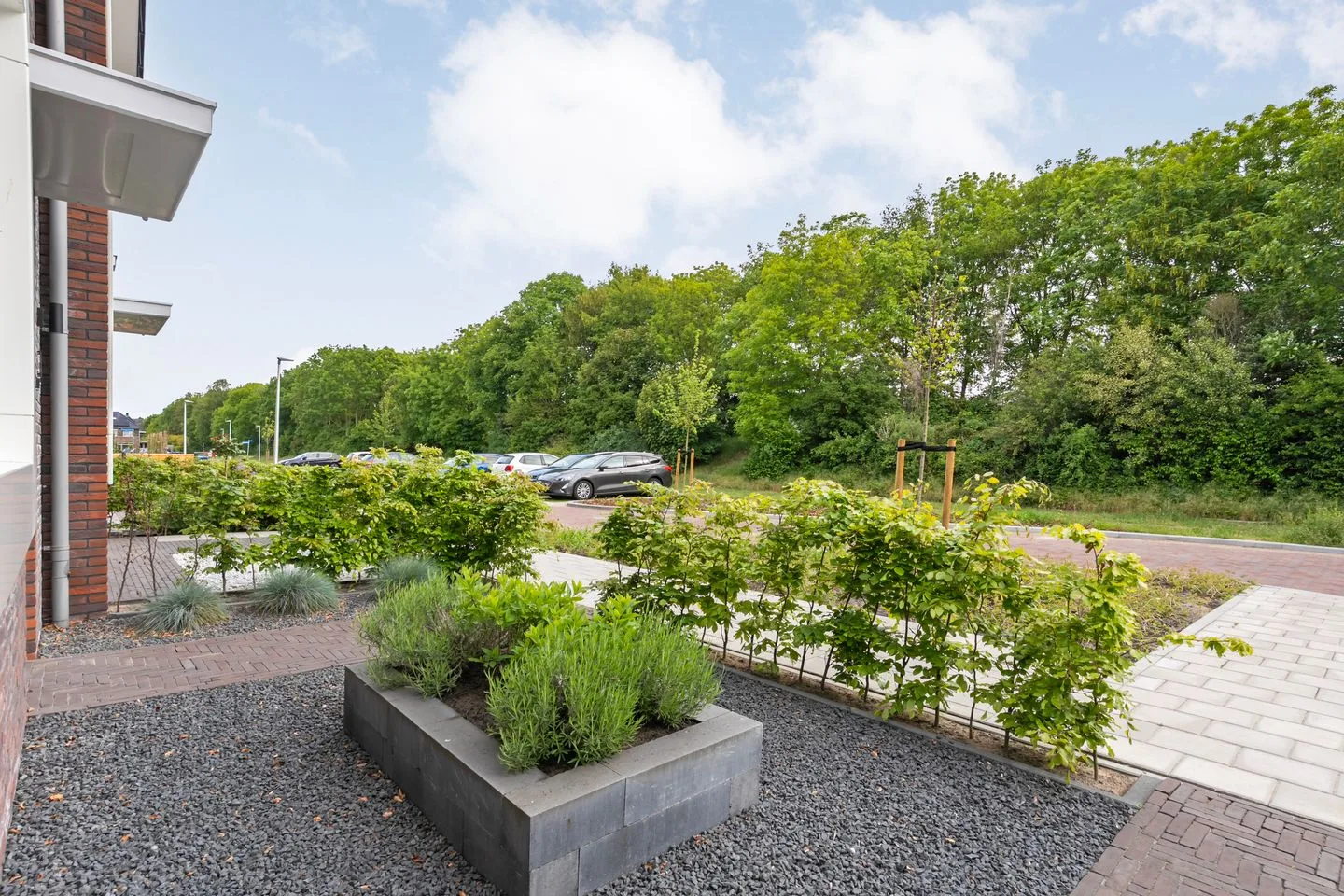 Korenveld 54 Staphorst thumbnail 6