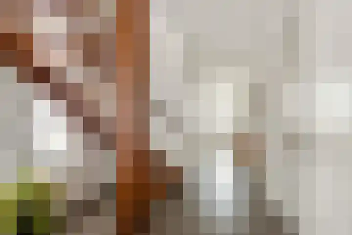 Korenveld 6 Braamt thumbnail 26