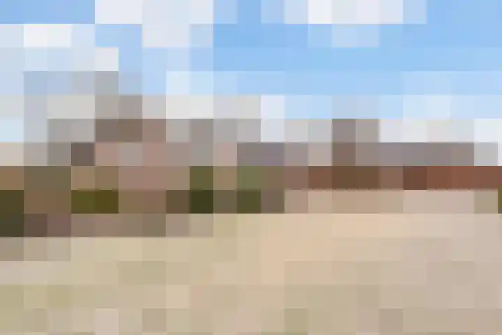 Korenveld 6 Braamt thumbnail 43