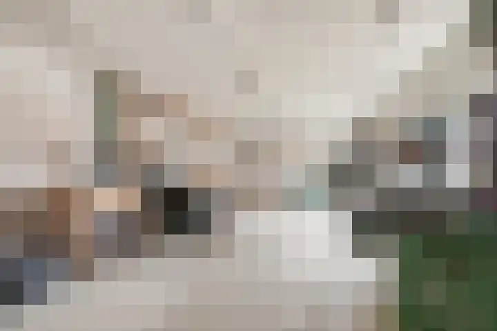 Korenveld 6 Braamt thumbnail 48