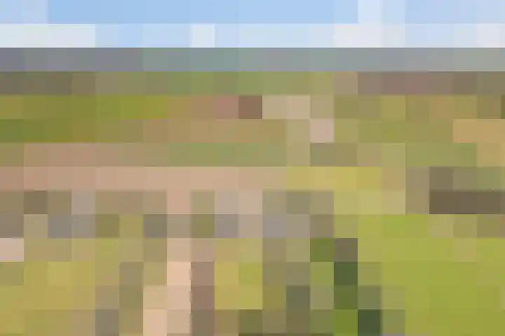 Korenveld 6 Braamt thumbnail 53