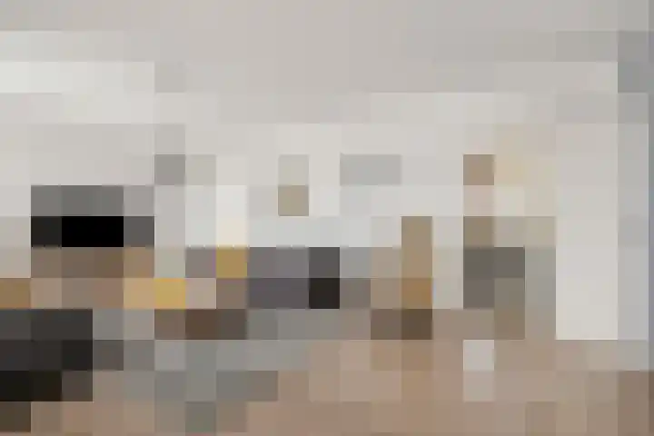 Korenveld 6 Braamt thumbnail 6