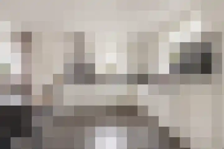 Korenveld 6 Braamt thumbnail 8