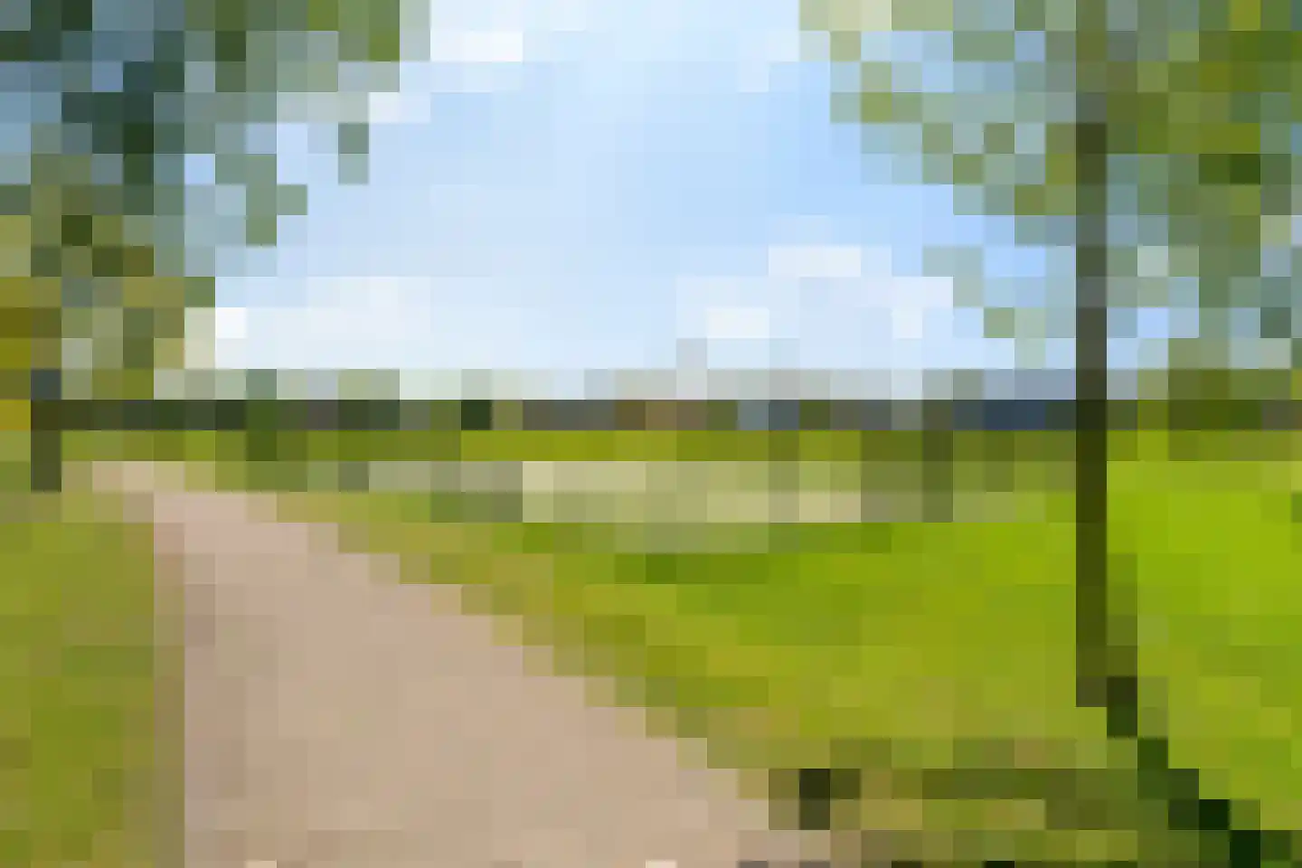 Korenveld 9 's-Hertogenbosch thumbnail 36