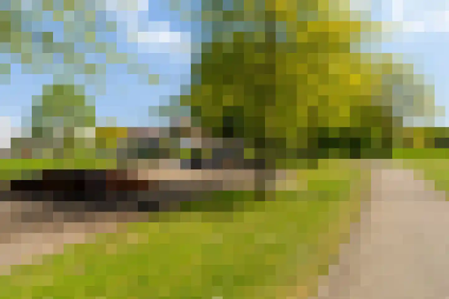 Korenveld 9 's-Hertogenbosch thumbnail 37