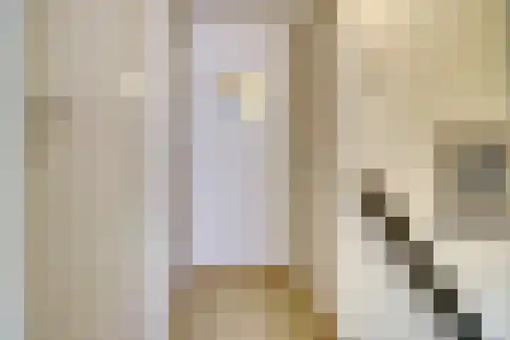 Korenveldstraat 4 Hapert thumbnail 14