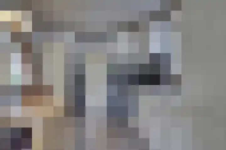 Korenveldstraat 4 Hapert thumbnail 6