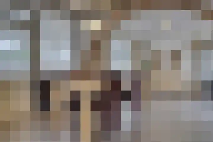 Korenveldstraat 4 Hapert thumbnail 9