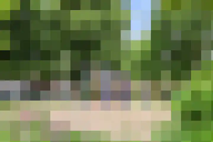 Korenweg 1 b Nijverdal thumbnail 30