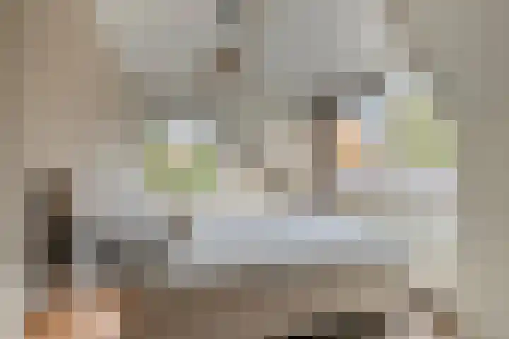 Korenweg 2 Dwingeloo thumbnail 13