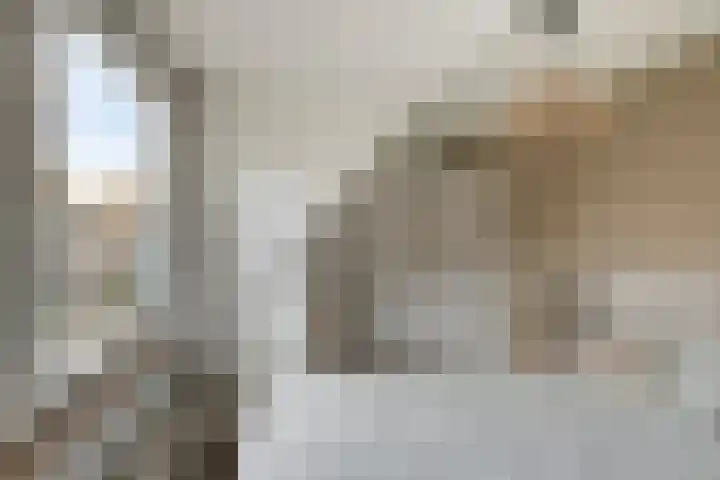 Korenweg 2 Dwingeloo thumbnail 14