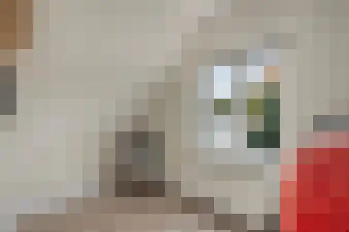 Korenweg 2 Dwingeloo thumbnail 17