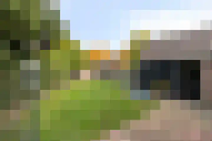 Korenweg 2 Dwingeloo thumbnail 20