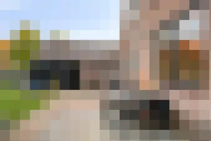 Korenweg 2 Dwingeloo thumbnail 23