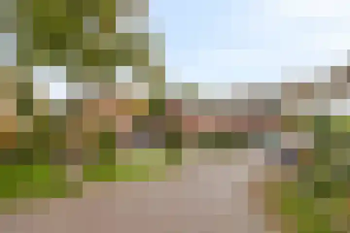 Korenweg 2 Dwingeloo thumbnail 26