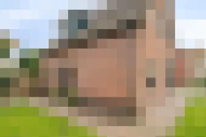 Korenweg 2 Dwingeloo thumbnail 29