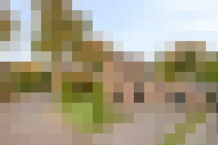 Korenweg 2 Dwingeloo thumbnail 30