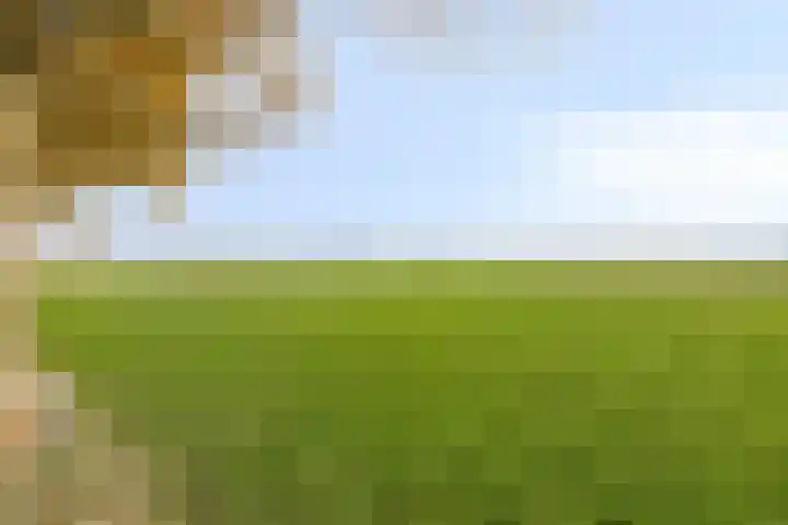 Korenweg 2 Dwingeloo thumbnail 31