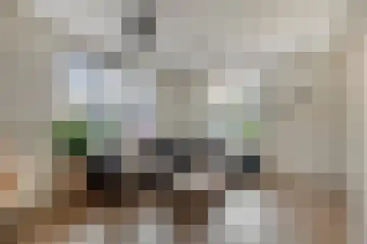 Korenweg 2 Dwingeloo thumbnail 4