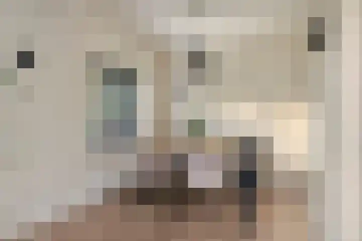 Korenweg 2 Dwingeloo thumbnail 5