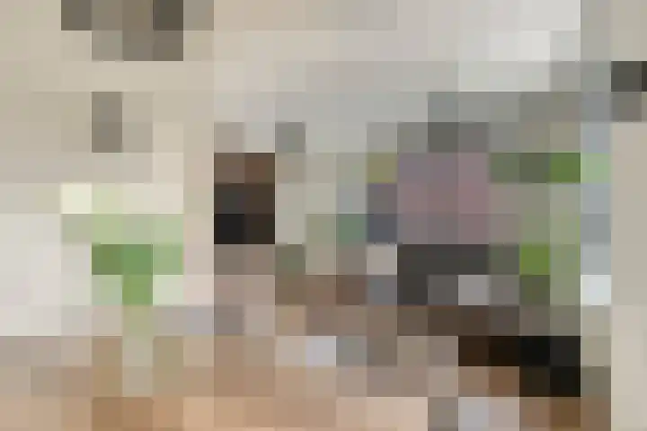 Korenweg 2 Dwingeloo thumbnail 6