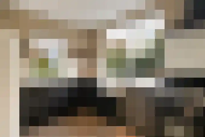 Korenweg 2 Dwingeloo thumbnail 8