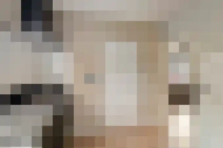 Korenweg 2 Dwingeloo thumbnail 9
