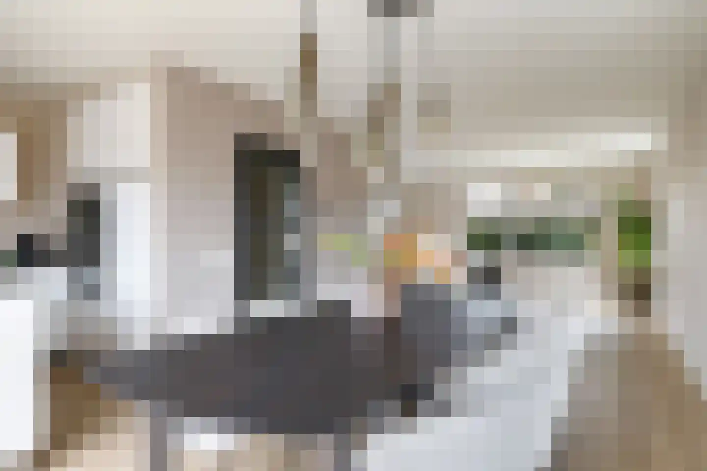 Korenweg 32 Silvolde thumbnail 17