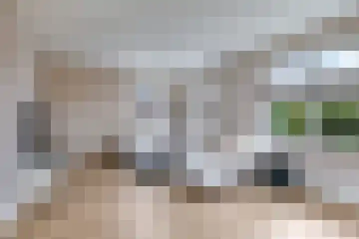 Korenweg 32 Silvolde thumbnail 20