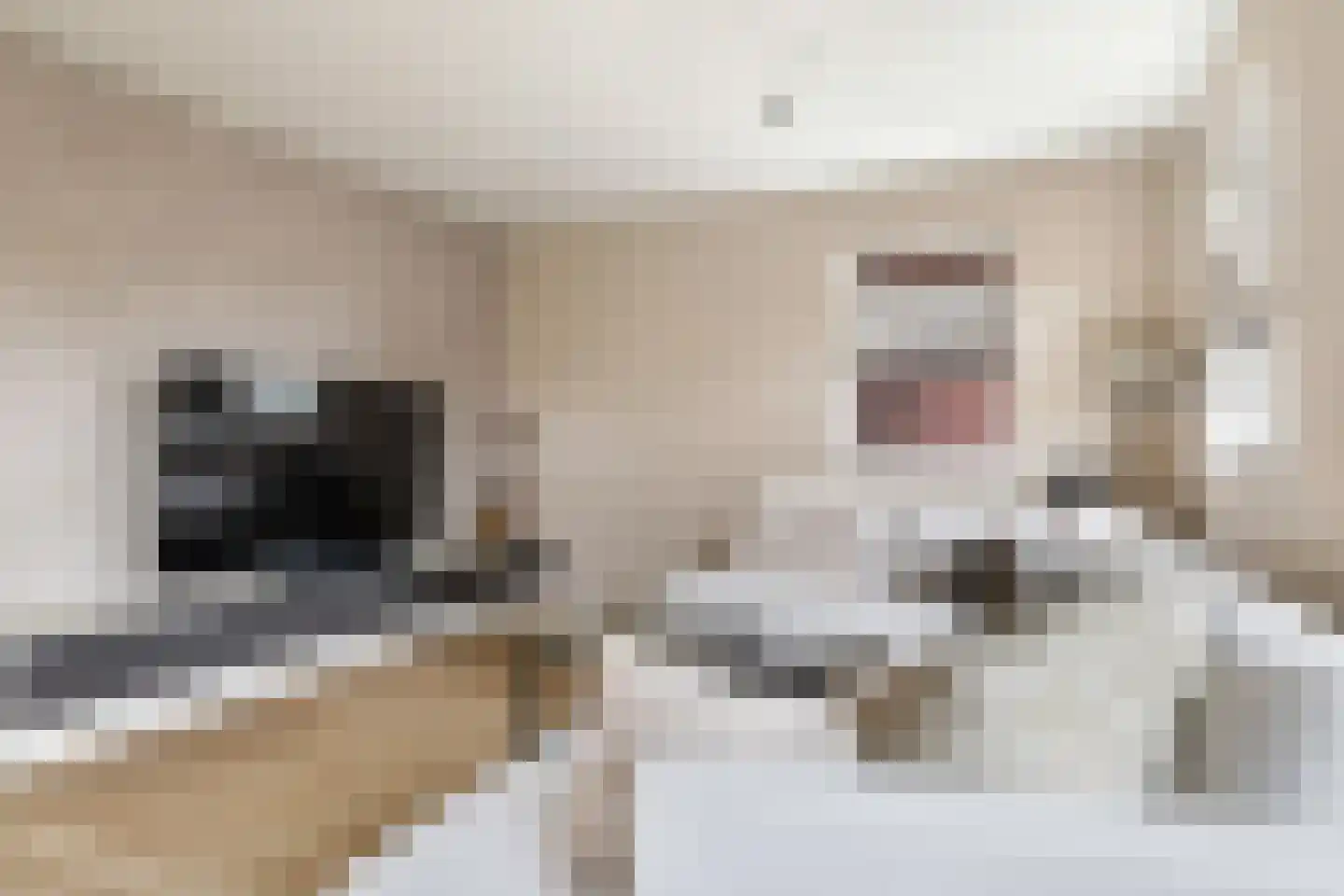 Korenweg 32 Silvolde thumbnail 21