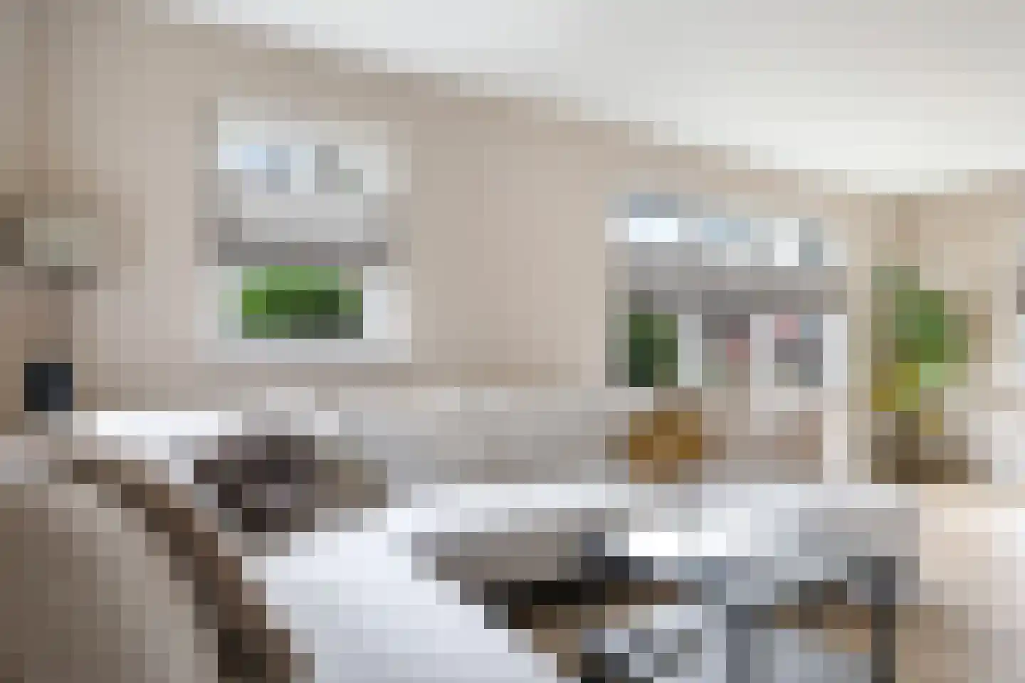 Korenweg 32 Silvolde thumbnail 22