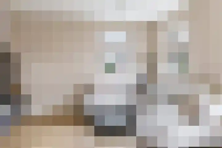 Korenweg 32 Silvolde thumbnail 23