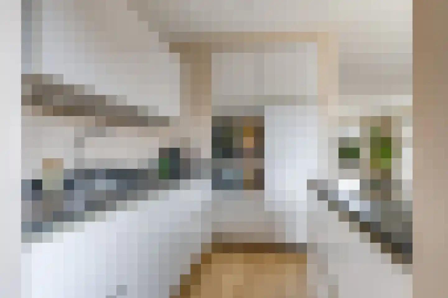 Korenweg 32 Silvolde thumbnail 36