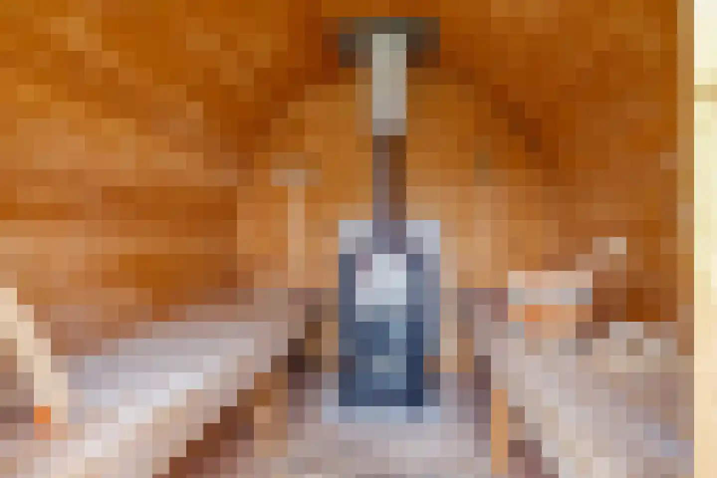 Korenweg 32 Silvolde thumbnail 72
