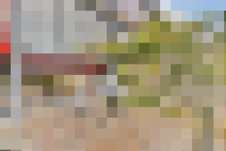 Korenwijnpad 3 Schiedam thumbnail 13